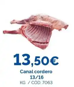 Dialsur Cash & Carry Canal cordero oferta