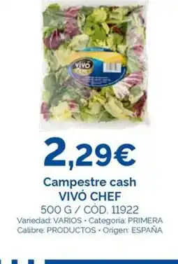 Dialsur Cash & Carry VIVÓ CHEF Campestre cash oferta