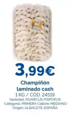Dialsur Cash & Carry Champiñón laminado cash oferta