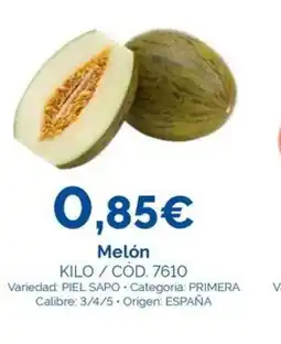 Dialsur Cash & Carry Melón oferta