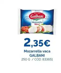 Dialsur Cash & Carry GALBANI Mozarrella vaca oferta