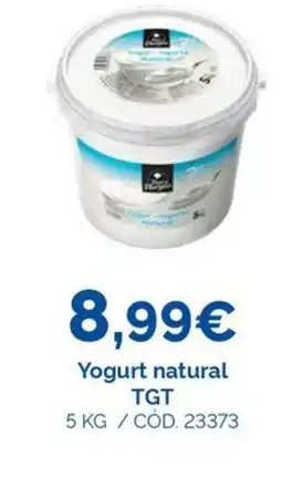 Dialsur Cash & Carry TGT Yogurt natural oferta