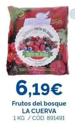Dialsur Cash & Carry LA CUERVA Frutos del bosque oferta