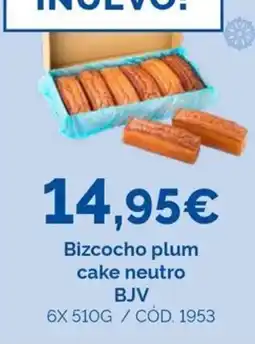 Dialsur Cash & Carry BJV Bizcocho plum cake neutro oferta