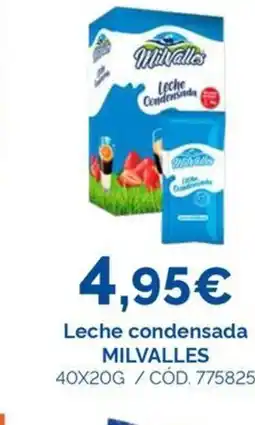 Dialsur Cash & Carry MILVALLES Leche condensada oferta