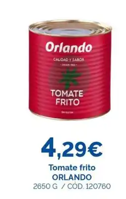 Dialsur Cash & Carry ORLANDO Tomate frito oferta