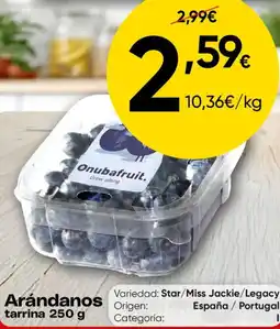 FROIZ Arándanos tarrina oferta