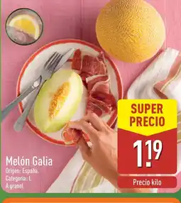 ALDI Melón Galia oferta