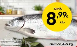 FROIZ Salmón oferta