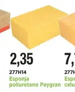 BdB Esponja poliuretano Peygran celulosa oferta