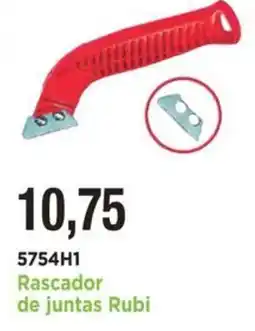 BdB Rascador de juntas Rubi oferta