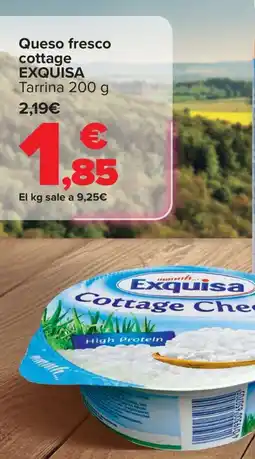 Carrefour EXQUISA Queso fresco cottage Tarrina oferta