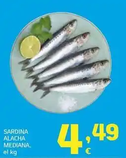 HiperDino Sardina alacha mediana oferta
