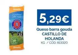 Dialsur Cash & Carry Castillo de holanda - queso barra gouda oferta