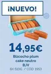 Dialsur Cash & Carry Bizcocho plum cake neutro oferta