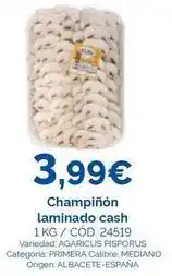 Dialsur Cash & Carry Origen - champiñón laminado cash oferta