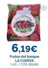 Dialsur Cash & Carry Viña cuerva - frutos del bosque oferta