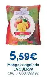 Dialsur Cash & Carry Viña cuerva - mango congelado oferta