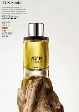 Yanbal Intenso - 43 n paralet oferta
