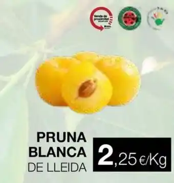 Pruna blanca de lleida