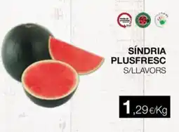 Plusfresc Síndria plusfresc s/llavors oferta