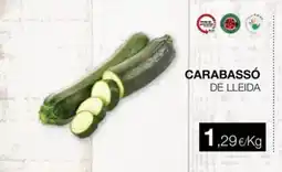 Plusfresc Carabassó de lleida oferta