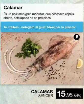 Plusfresc Calamar sencer oferta