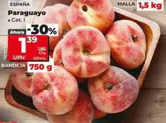 Dia Paraguayo oferta