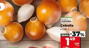 Dia Cebolla oferta