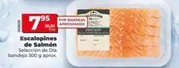 Dia Seleccion de dia - escalopines de salmón oferta