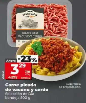 Dia Seleccion de dia - carne picada de vacuno y cerdo oferta