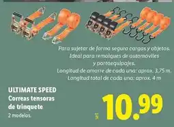 Lidl Ultimate speed - correas tensoras de trinquete oferta