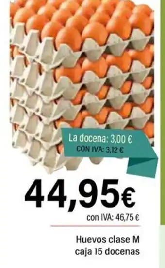 Cash Ifa Huevos clase M caja 15 docenas oferta