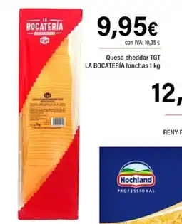 Cash Ifa TGT LA BOCATERÍA Queso cheddar oferta