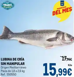 Makro Lubina de cría sin manipular oferta