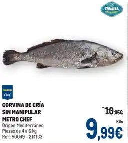 Makro Corvina de cría sin manipular metro chef oferta