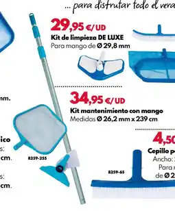 BricoCentro Kit mantenimiento con mango oferta