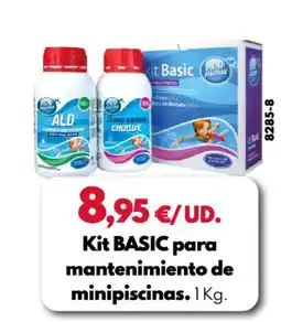 BricoCentro Kit basic para mantenimiento de minipiscinas oferta