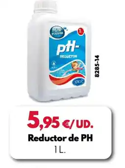 BricoCentro Reductor de ph oferta