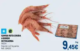 Makro Gamba rota cruda a bordo octogamba oferta