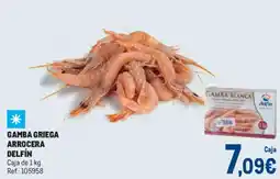 Makro Gamba griega arrocera delfín oferta