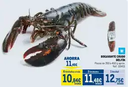 Makro Bogavante crudo delfín oferta