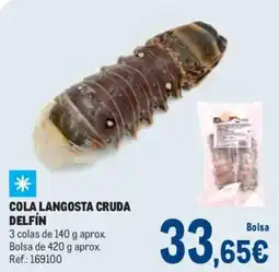 Makro DELFÍN Cola langosta cruda oferta
