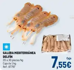 Makro Galera mediterránea delfín oferta