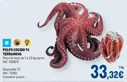 Makro Pulpo cocido t4 terranova oferta