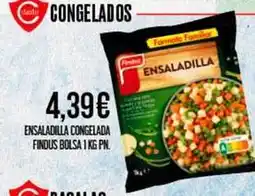 Claudio Findus - ensaladilla congelada oferta