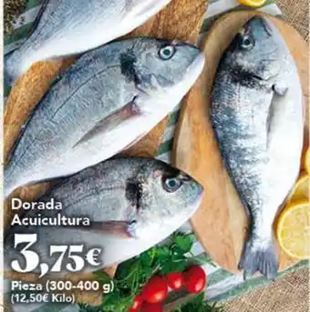 Gadis Dorada acuicultura oferta