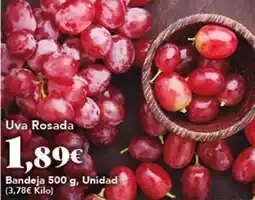 Gadis Uva rosada oferta