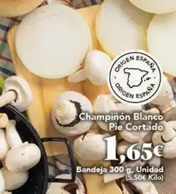 Gadis Blanco - champinon oferta