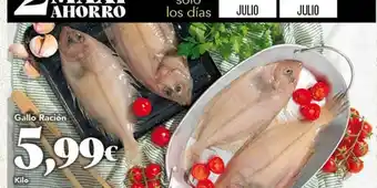 Gadis Gallo - racion oferta